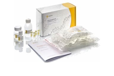 ExtractDNA FFPE, BC103