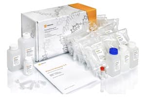 Plasmid Miniprep 2.0, BC221L
