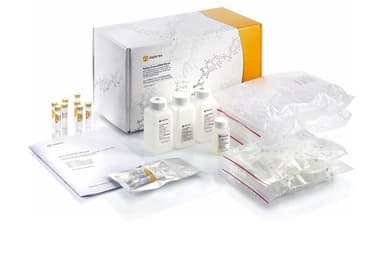 ExtractDNA Blood & Cells, BC111M