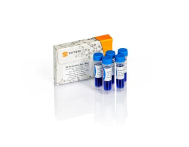 4X Gel Loading Dye, Blue буфер, PB020