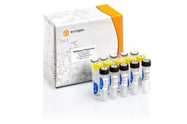 SNPdetect полимераза, PK022L
