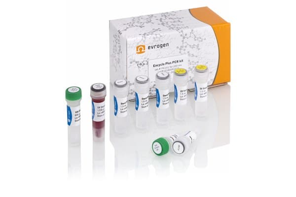 Набор Encyclo Plus PCR kit, PK101