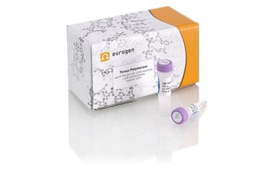 Tersus полимераза, PK123L