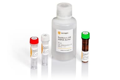 DyeMetric HS dsDNA, QB001