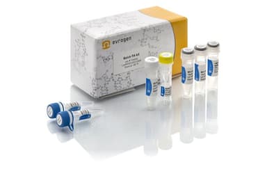 Набор для клонирования Quick-TA kit, TAK02