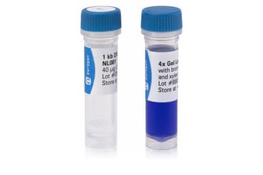 Маркер длин ДНК 1 kb DNA Ladder, NL001