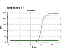 Аллель-специфичная ПЦР с использованием SNPdetect полимеразы.