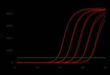 Набор OneTube RT-PCR SYBR