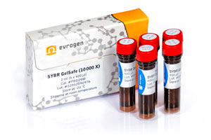 SYBR GelSafe (10 000 Х)
