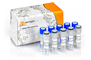 InBlood полимераза