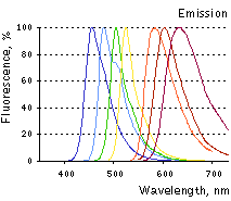 TagFPs emission spectra.