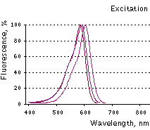 TagFPs excitation spectra.